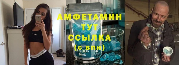 индика Беломорск