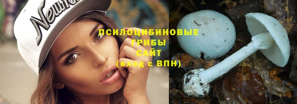 соль ск Богородицк