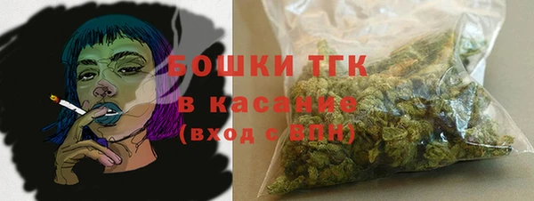 индика Беломорск