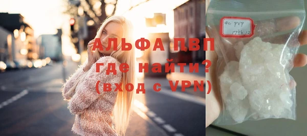 индика Беломорск