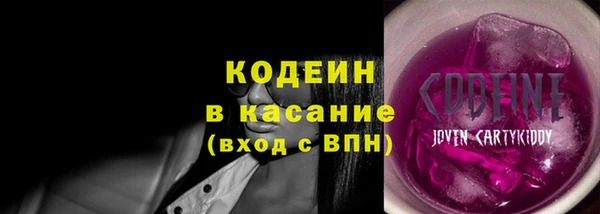 индика Беломорск