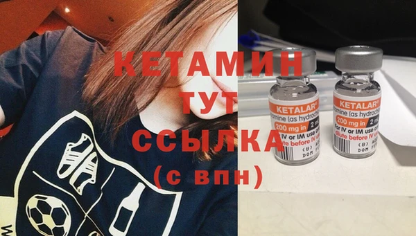 PSILOCYBIN Белокуриха