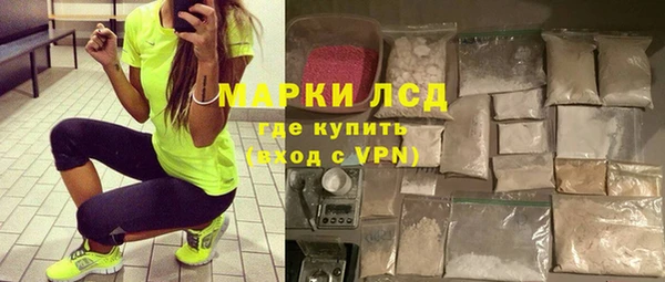 индика Беломорск