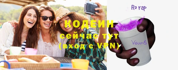 индика Беломорск